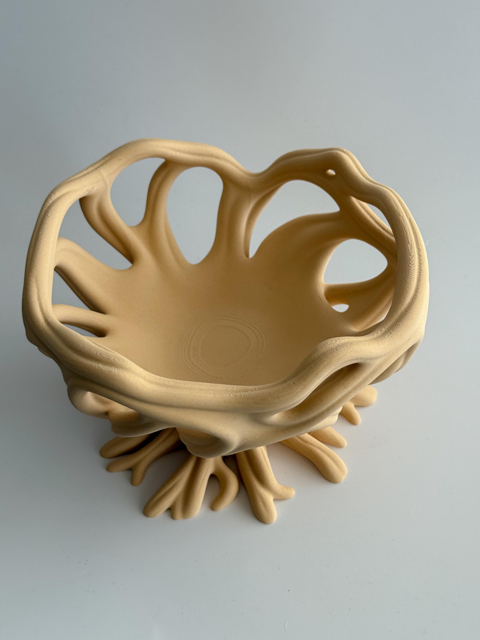 Magic Root Bowl, Fantasy Woodland Decor thumbnail 4