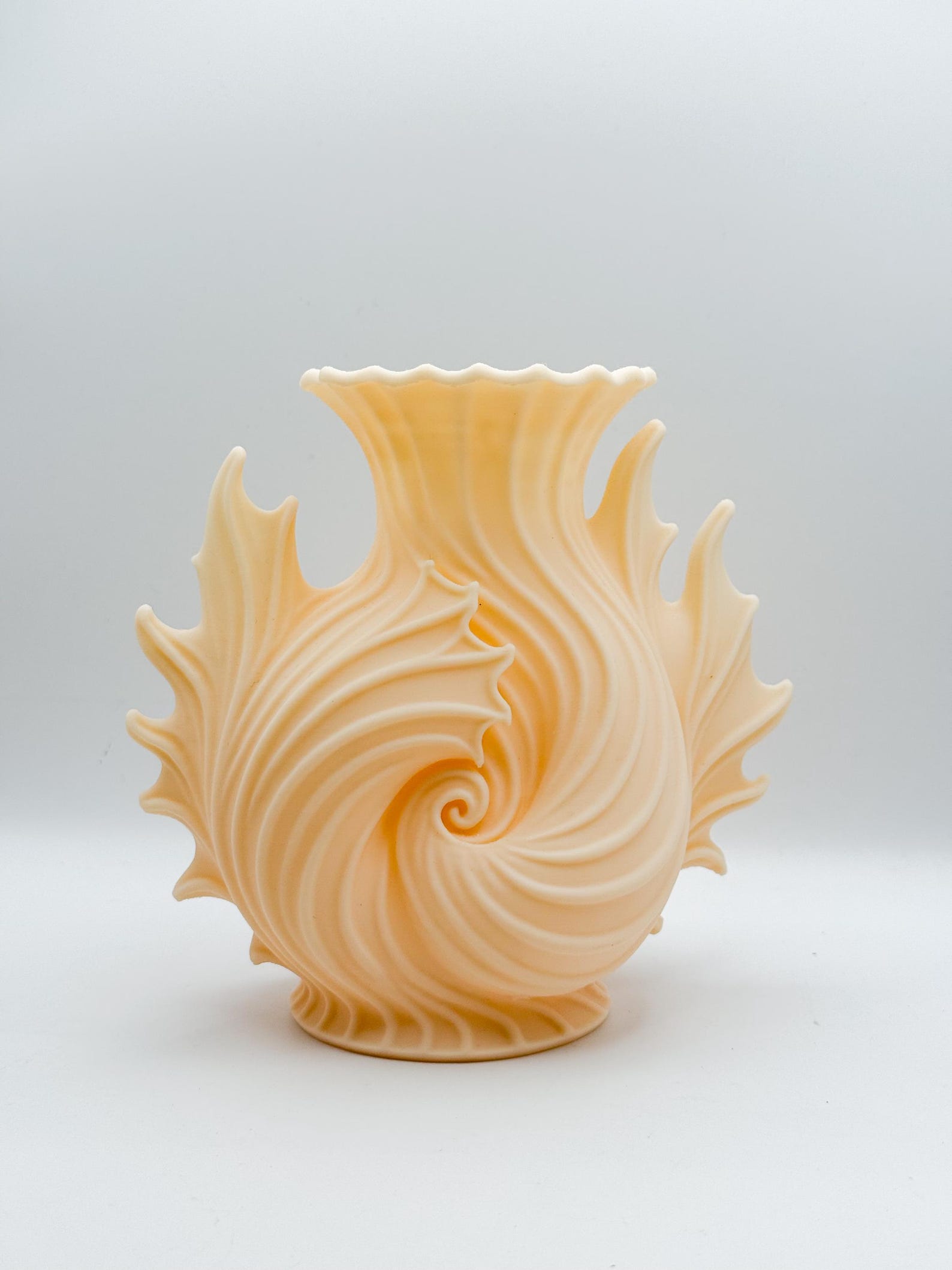 Seashell Spiral Vase, Ocean Coastal Decor Vase thumbnail 2