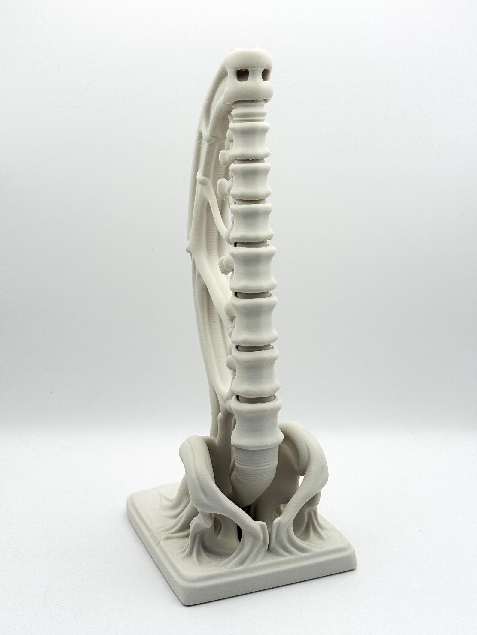 Spine Bookend, Anatomical Vertebra Book Holder thumbnail 6