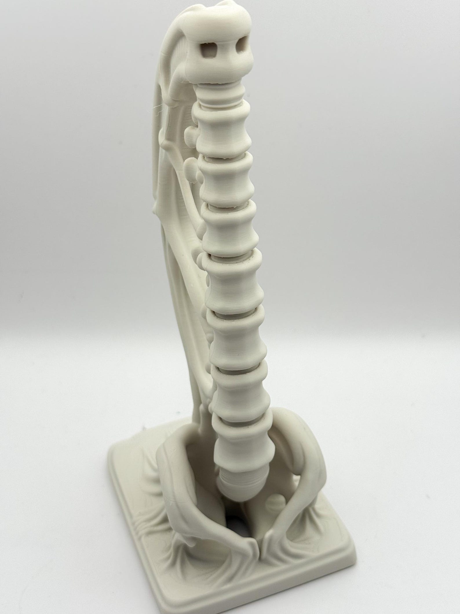 Spine Bookend, Anatomical Vertebra Book Holder thumbnail 7