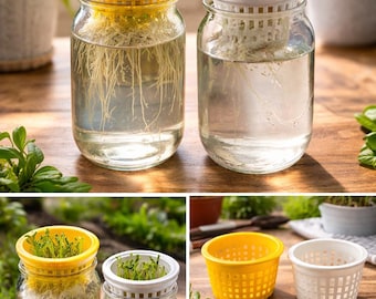 Mason Jar Hydroponic Insert – Deep & Shallow Net Cup for Kratky Growing – Microgreens Seed Starter – Wide Mouth Jar Grow Basket