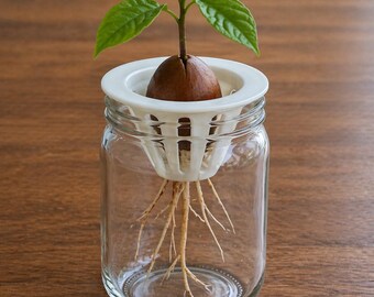 Hydroponic / Kratky Avocado Seed Holder for Wide Mouth Mason Jar | Avocado Grower Insert | Fits Ball Jars | Seed Starter | 3D Printed