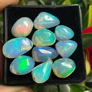 May include: A collection of nine smooth, polished, translucent opal gemstones arranged on a black velvet display pad. Each stone features a milky white base with vibrant flashes of iridescent green, blue, and orange colour play throughout.