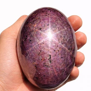 May include: A polished, oval-shaped star ruby gemstone. The deep magenta stone has a six-rayed star effect, with the text "Star Ruby" above it. The gem is held in a hand against a white background.