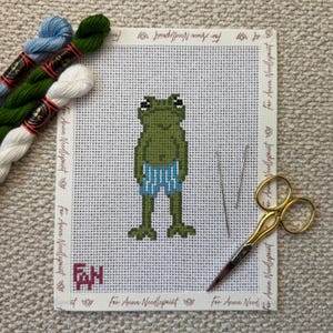 Sapo Rabugento de Calção de Banho - Bordado em Tela à Mão - 13 Pontos - Ideal para Iniciantes - Moderno