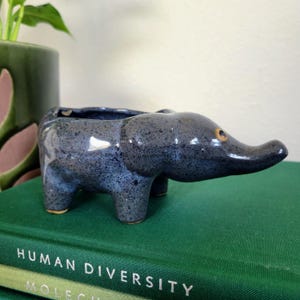 May include: A small, dark blue ceramic planter shaped like an elephant with a speckled glaze finish. The elephant figure has four short legs, a long trunk extending forward, and a single visible eye with a light brown iris. The top is open.