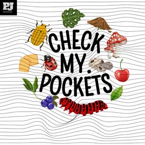 May include: A whimsical illustration with the text "CHECK MY POCKETS" surrounded by various colorful elements. Includes a yellow beetle, ladybug, red caterpillar, mushrooms, and a cherry, all set against a white background with black wavy lines.