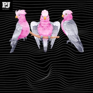 Puede incluir: Ilustración de tres cacatúas Galah rosas y grises sobre un fondo negro con líneas onduladas blancas. Un pájaro está posado en una rama, mientras que los otros dos están colocados a cada lado. Las aves tienen crestas y pechos rosas, alas grises y picos amarillos.