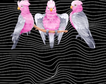 Funny Galah Cockatoo funny Birb Pink Parrot SVG PNG Doodle Pattern Cute Chaotic Bird Meme Aesthetic png svg Digital Download