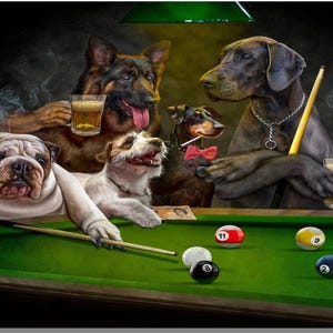 Puede incluir: Imagen humorística de perros jugando al billar. Un bulldog con un cigarro apunta con un taco. Otros perros beben cerveza y fuman cigarrillos. Las bolas de billar están sobre la mesa de fieltro verde.