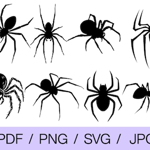 May include: A collection of eight black spider silhouettes in various poses. The spiders have detailed body shapes and leg structures. The image includes the text "PDF / PNG / SVG / JPG" in a light purple rectangle at the bottom.