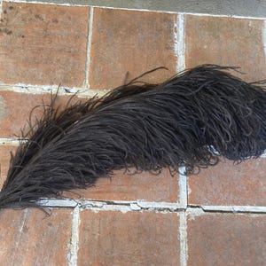 Antique feather plume black ostrich Victorian Edwardian original accessories trim hat