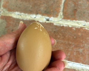 Vintage wooden nest egg primitive rustic farm house chicken coop dummy