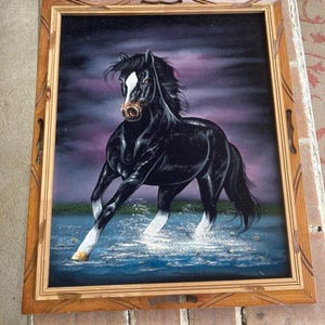 1970s Velvet Painting | eBay ヴィンテージ 70s ベルベットペイン