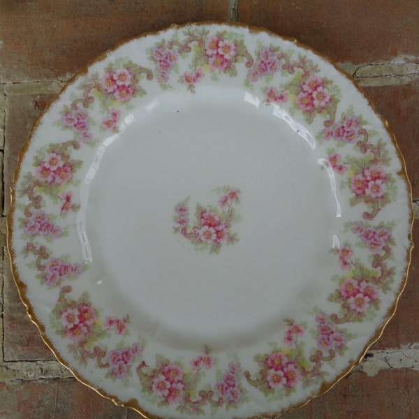 Antique Limoges France plate Bawo Dotter pink floral flowers 9" serving dinner collectible