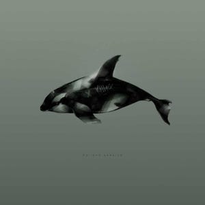 Conceptual Art / Killer - in color and black & grey