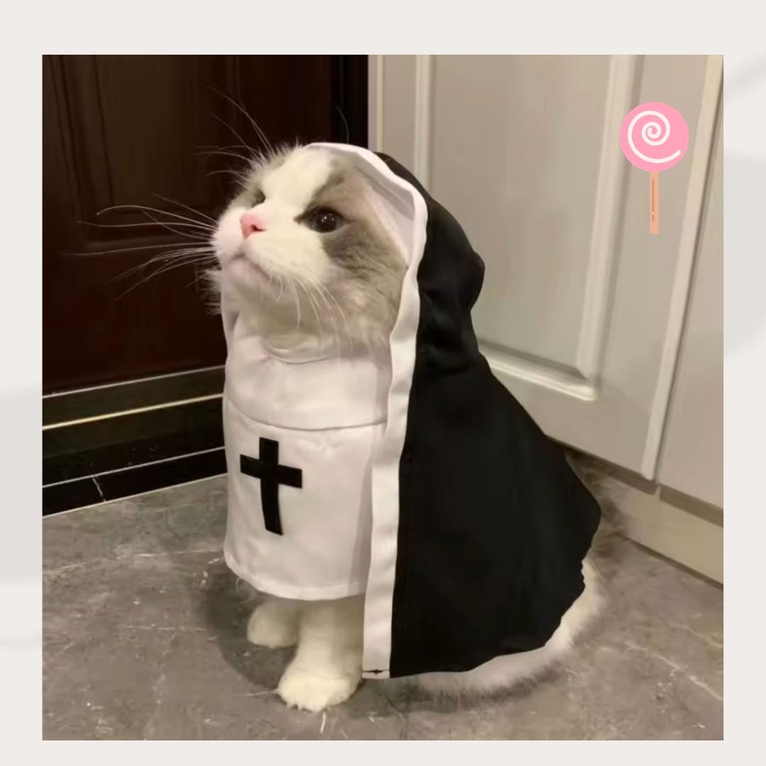 Nun Cat Costume – Religious Pet Funny Cosplay Outfit - Etsy