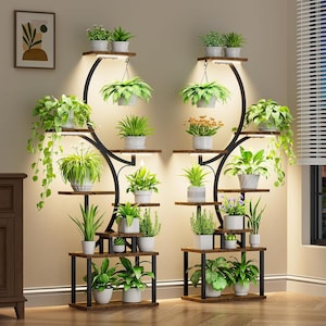 May include: Two black metal and wood plant stands with multiple shelves, each holding various potted plants. The stands have a curved design with built-in lights, creating a decorative display for indoor plants. The plants include ferns, succulents, and flowering plants.