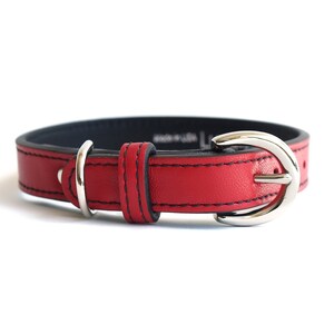 Minimalist Renegade Red Leather Dog Collar