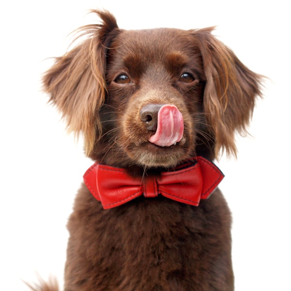 Renegade Red Martini Bowtie Leather Dog Collar