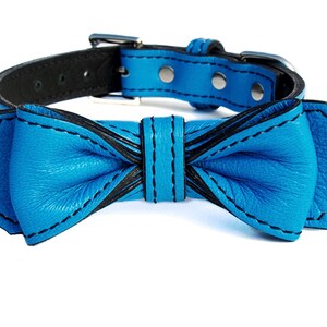 May include: A blue leather dog collar with a matching blue leather bow tie.