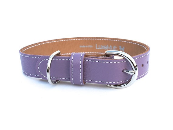 minimalist dog collar