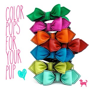 May include: A stack of seven colourful leather bow ties for dogs. The bow ties are arranged in a rainbow pattern, starting with green and ending with turquoise. The text "COLOR POPS FOR YOUR PUP" is visible on the left side of the image.