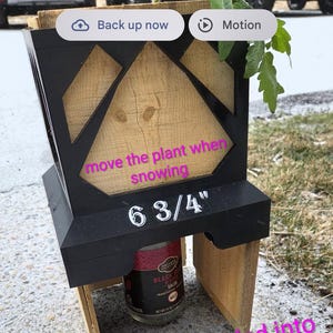 Maceta compuesta de 17,1 cm x 0,6 cm, de pino natural, encaja en un marco de PETG.