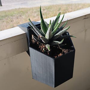 May include: A black, geometric-shaped planter with a succulent plant. The plant has green, pointed leaves with white spots. The planter is mounted on a window ledge, and the background shows a window screen and a glimpse of the outdoors.
