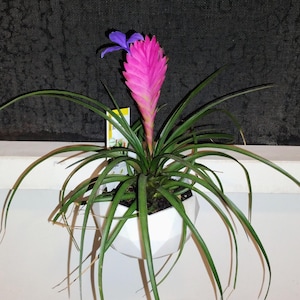 May include: A rustic wooden sign with the text "Welcome to our home" in white lettering. The sign features a distressed finish and a simple, inviting design, perfect for a front porch or entryway.