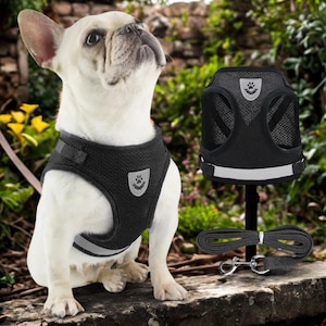 Puede incluir: Un juego de tres tazas de cerámica con un acabado moteado y mate. Las tazas son de color crema, gris claro y gris oscuro. Cada taza tiene un diseño simple y minimalista, ideal para café o té.