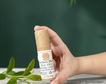 Balsamo per labbra in cera d'api - Ingredienti biologici, zero additivi, senza plastica, fatto a mano, completamente naturale, ecologico, idratante, cartone