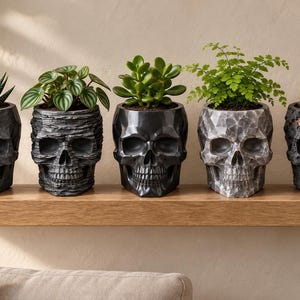 Puede incluir: Cinco macetas con forma de calavera dispuestas en fila sobre un estante de madera. Cada maceta presenta una textura única y contiene una planta verde diferente, incluyendo una suculenta, una peperomia, una planta de jade, un helecho y un pequeño cactus redondo.