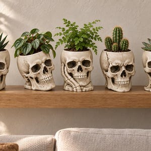 May include: Five off-white skull-shaped planters arranged in a row, each containing a different green plant. The skulls feature realistic bone textures and anatomical details, with one skull resting its chin on a skeletal hand.