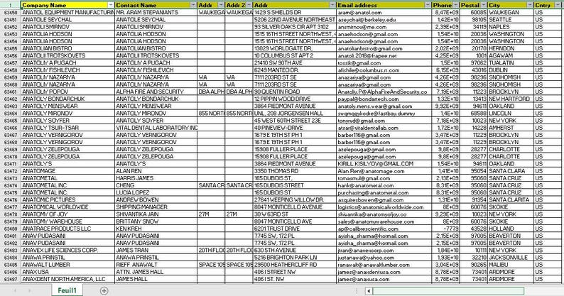 1 MILLION USA Business Email Database List B2B Contact Leads 2026 ...