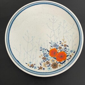 Può includere: Un piatto in ceramica bianca con bordo blu e motivo floreale. Il piatto presenta uno sfondo maculato con accenti floreali blu e marroni e due fiori arancioni. Il piatto è rotondo e ha un diametro di circa 25 cm.