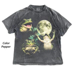 May include: A pepper-colored short-sleeve t-shirt featuring a graphic print of two green frogs and a large full moon against a dark, starry background. The shirt has a crew neckline and a washed, vintage-style appearance with the text Color Pepper.