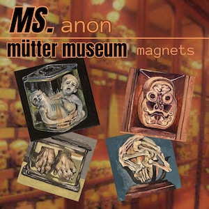 Mütter Museum Anatomical Anomalies Magnets 2.5"