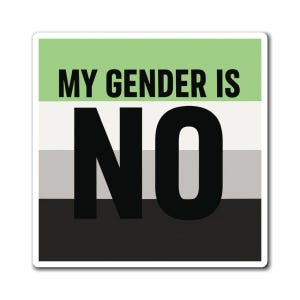 My Gender Is NO Magnets | Agender Pride Flag Refrigerator Magnet