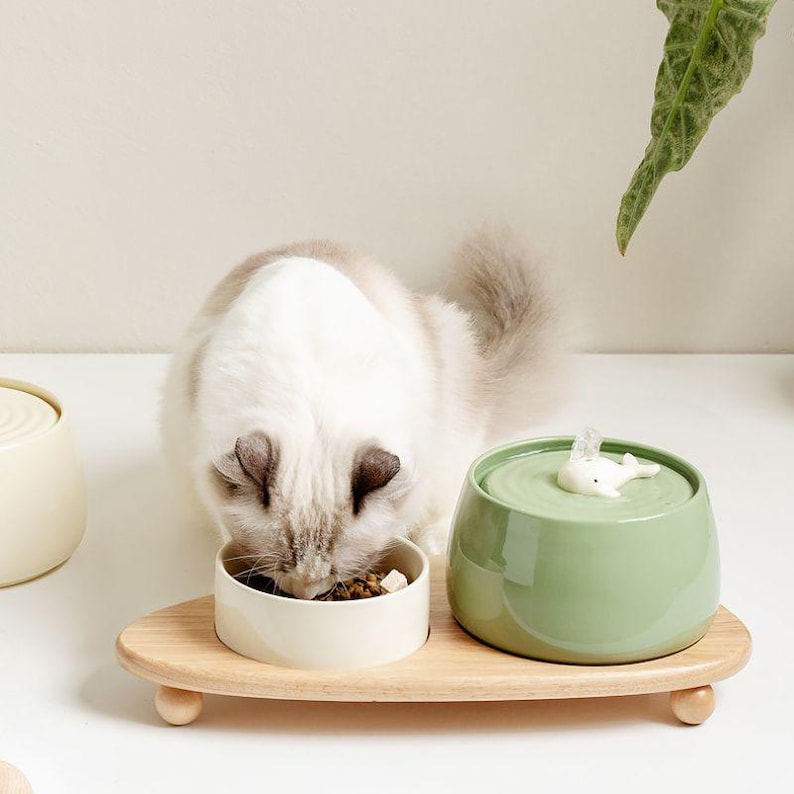 May include: A cat eats from a white ceramic bowl on a wooden tray. Next to the bowl is a green ceramic water fountain with a white whale figurine. The cat has white and grey fur.