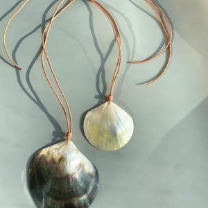 Può includere: Due collane con ciondoli a conchiglia. Un ciondolo è bianco perlaceo, l'altro è grigio scuro iridescente. Entrambi i ciondoli sono sospesi a sottili cordini marroni. Le collane sono esposte su una superficie azzurra.