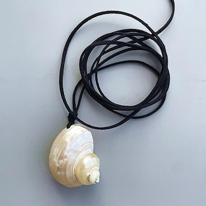 Op de afbeelding: Een schelpenhanger ketting met een zwart koord. De hanger is een parelmoer, crèmekleurige schelp met een spiraalvormig ontwerp. Het zwarte koord is bovenaan gelust en geknoopt, waardoor een ketting ontstaat.
