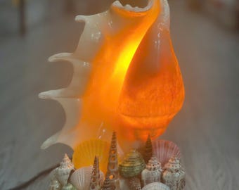 Handmade Seashell Table Lamp – Coastal Beach Decor Night Light