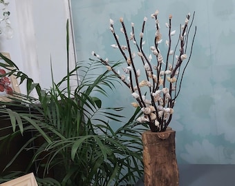 Set of 12 Seashell Blossom Trees | Coastal Driftwood Decor | Natural Branch Mini Trees