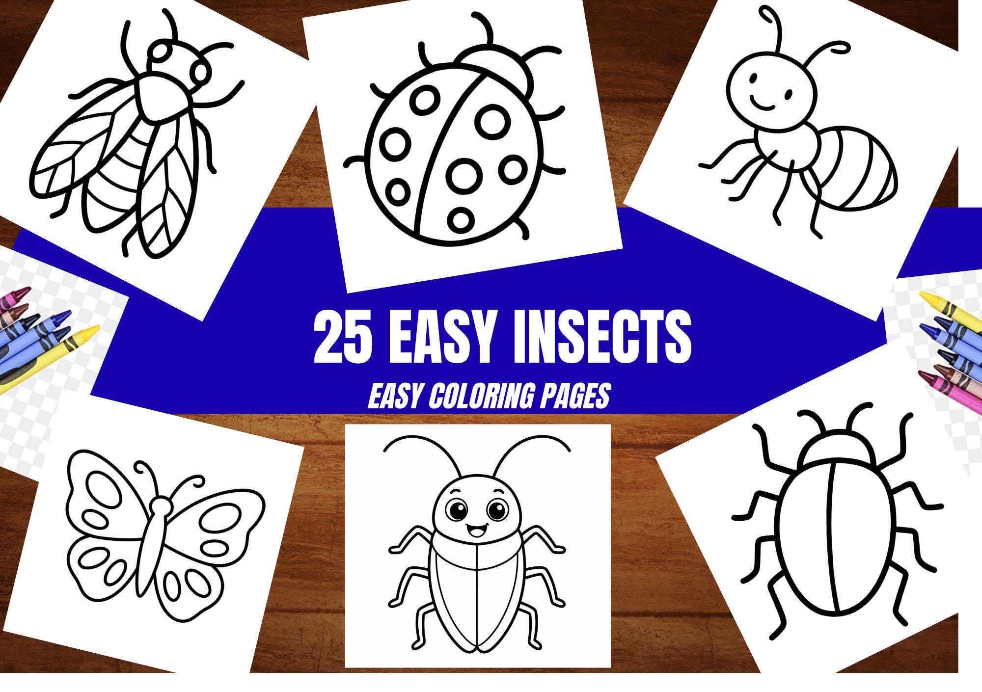 Insects Coloring Pages for Kids Fun Bug Activity Printable PDF Pack - Etsy