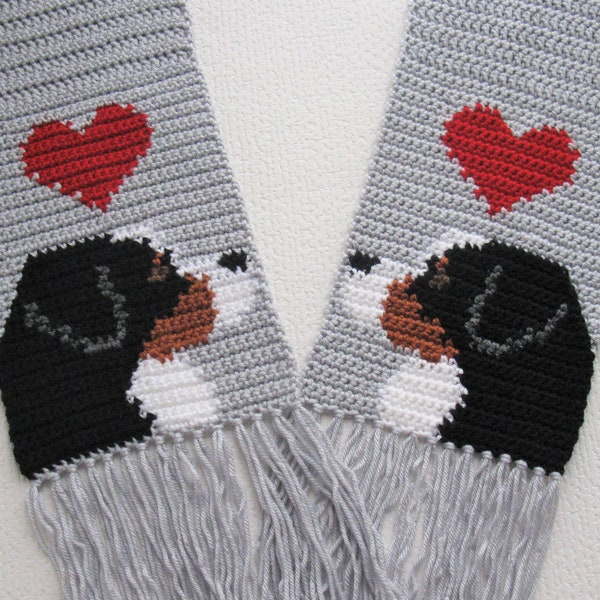 Crochet Pattern for a Bernese mountain dog scarf with large red hearts.  Instant download for DIY Berner gift