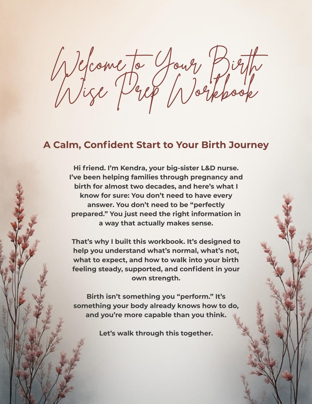 Laboe Workbook Birth Wise Prep Workbook | Pregnancy, Labor and Postpartum Guide by an ...