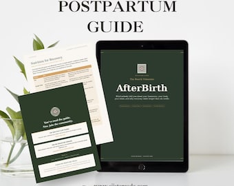 Guía de recuperación posparto: Manual digital de 12 meses sobre salud hormonal y bienestar mental para nuevas mamás