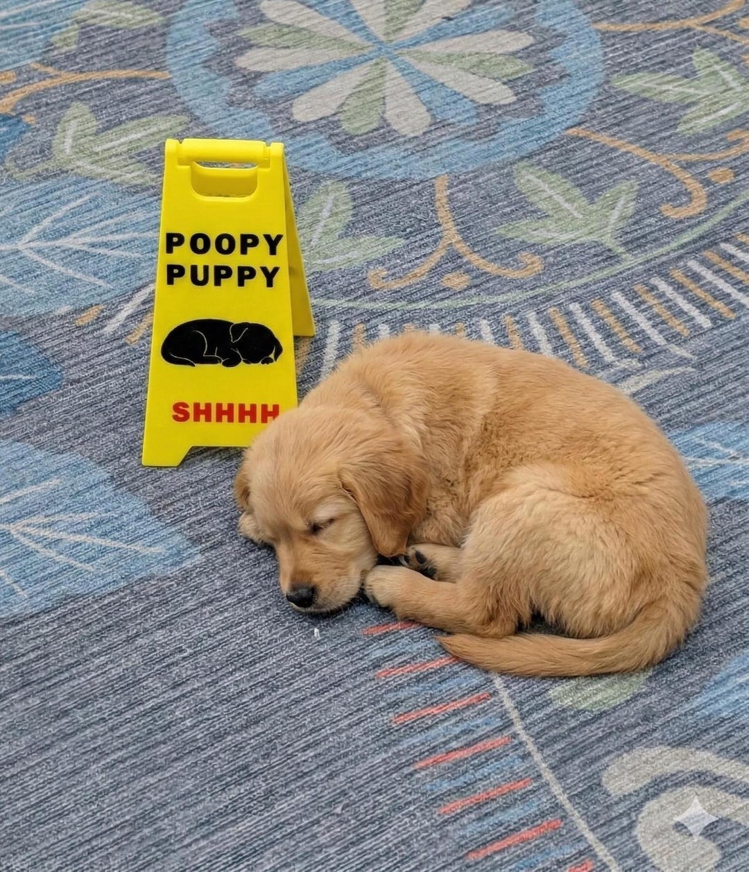 3D Printed Poopy Puppy Sign, Dog Owner Gift, PLA+ Material - Etsy