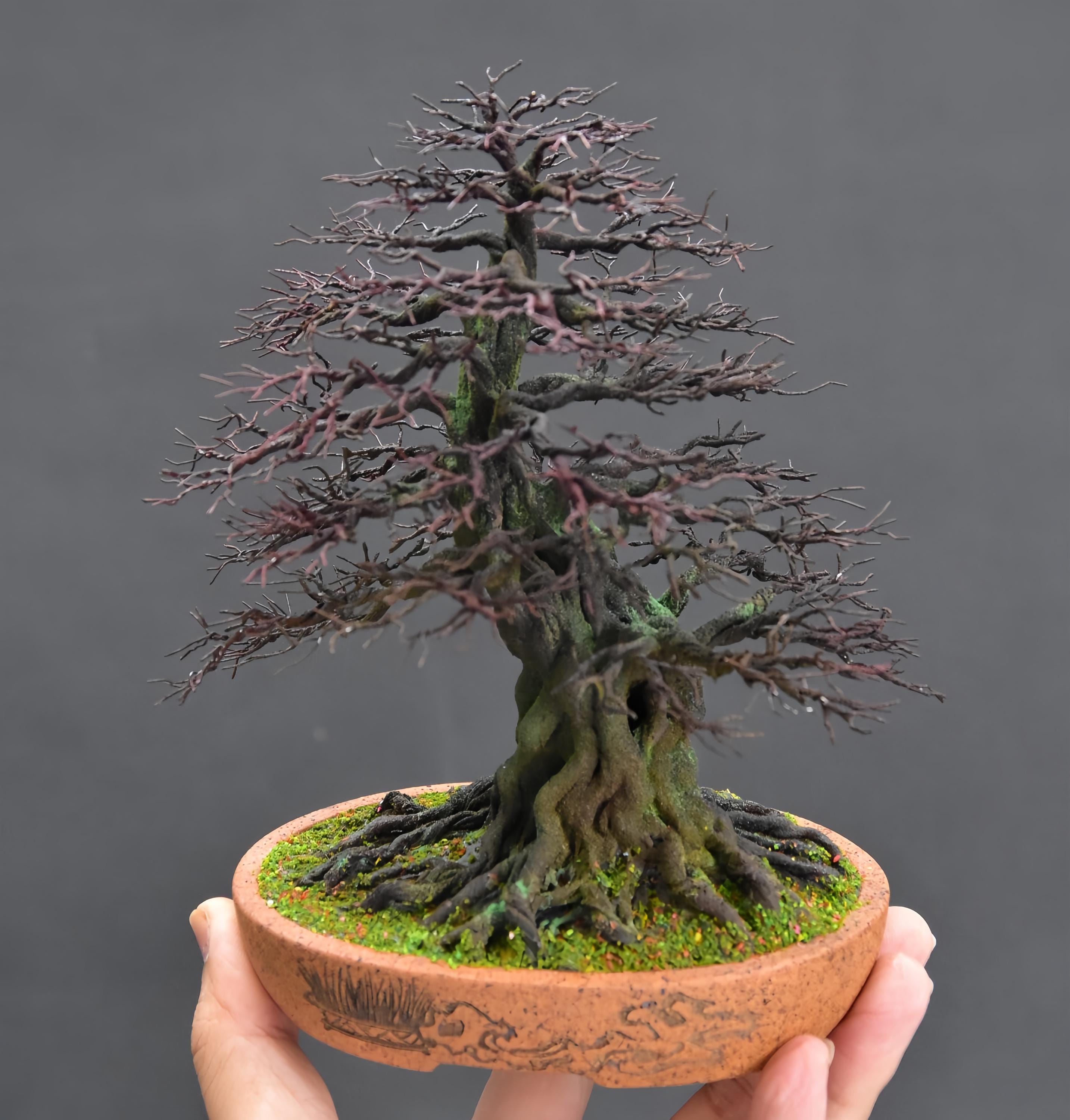 盆栽 - Etsy 日本